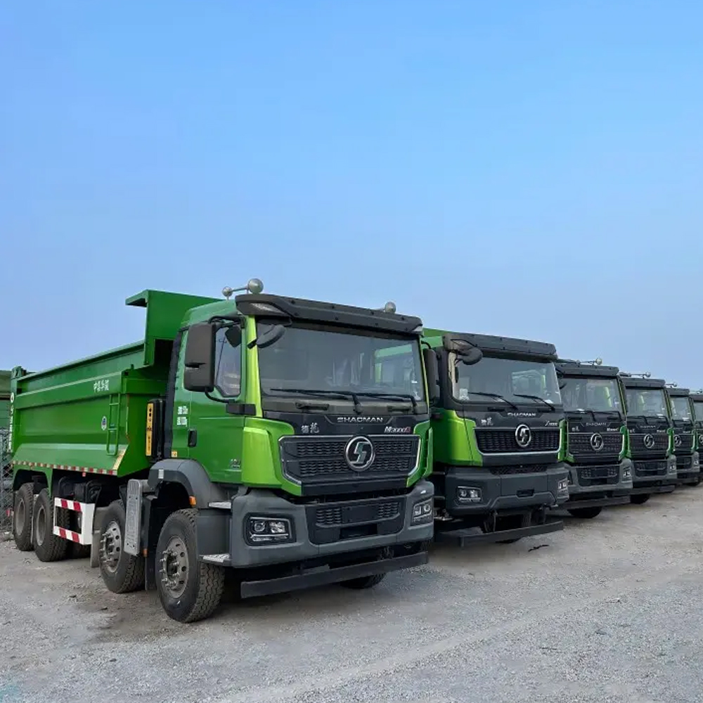 Dump Truck Shacman - Image 5