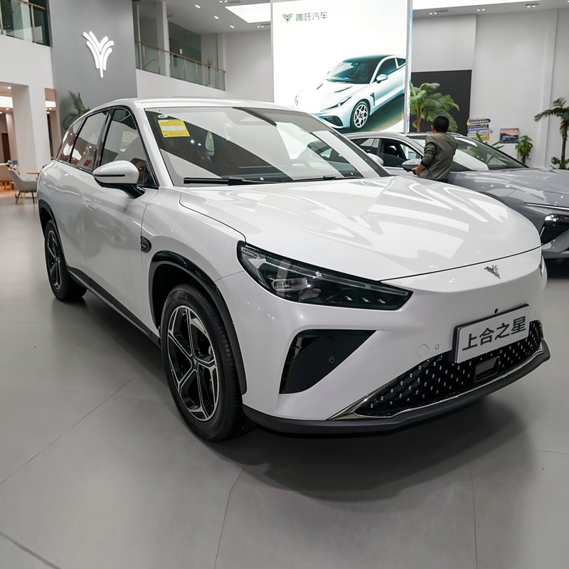 Nezha L 2024 310 Premium Edition - Image 4