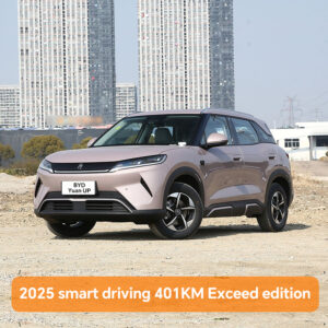 BYD Yuan Up 2025 smart driving 401KM Exceed edition