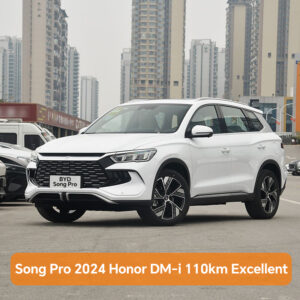 BYD Song Pro 2024 Honor DM-i 110km Excellent