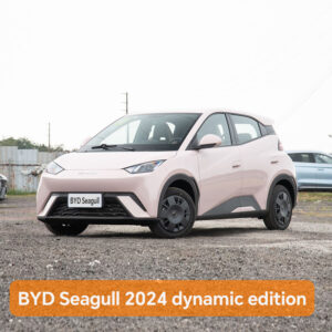 BYD Seagull 2024 dynamic edition