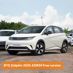 BYD Dolphin 2025 420KM Free version