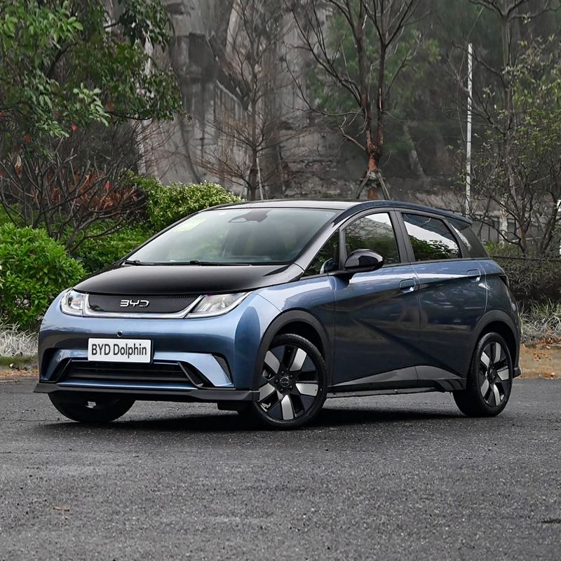 BYD Dolphin 2024 Honor 401km Knight - Image 3