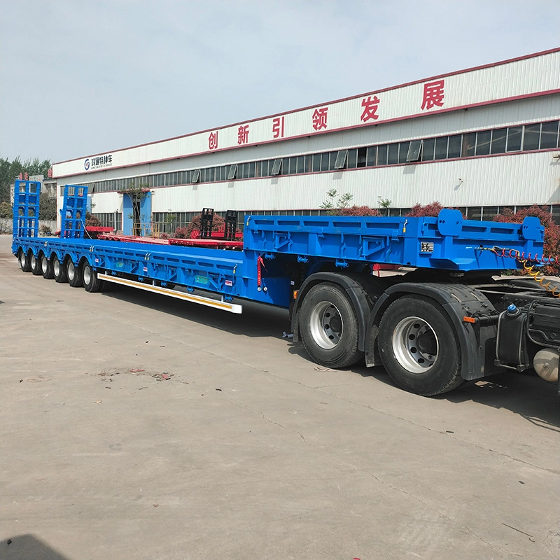 Central Asian Region Type Lowbed Trailer - Image 4
