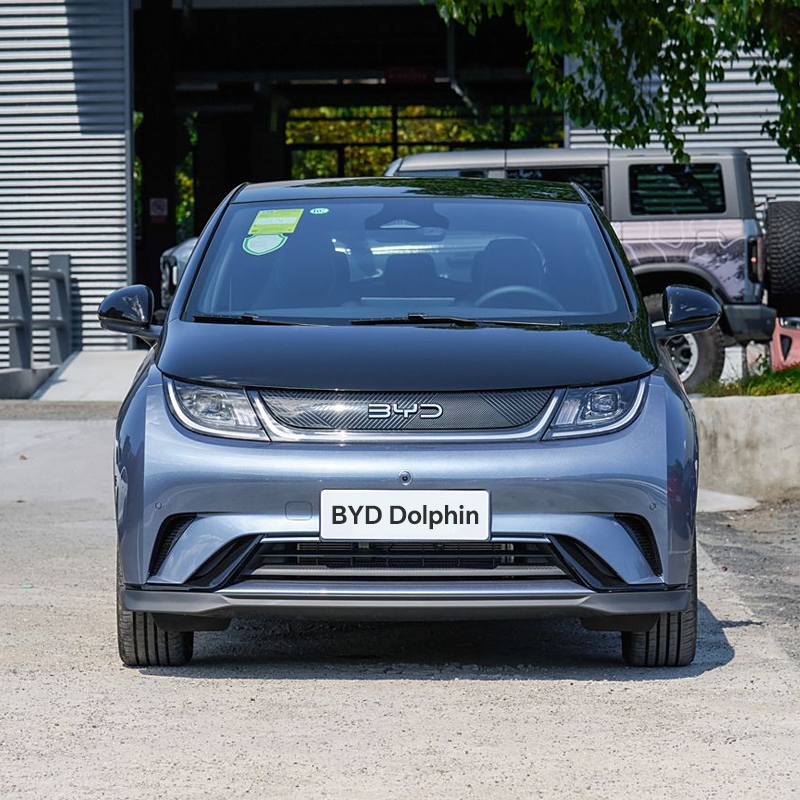 BYD Dolphin 2025520KM Rider version - Image 4