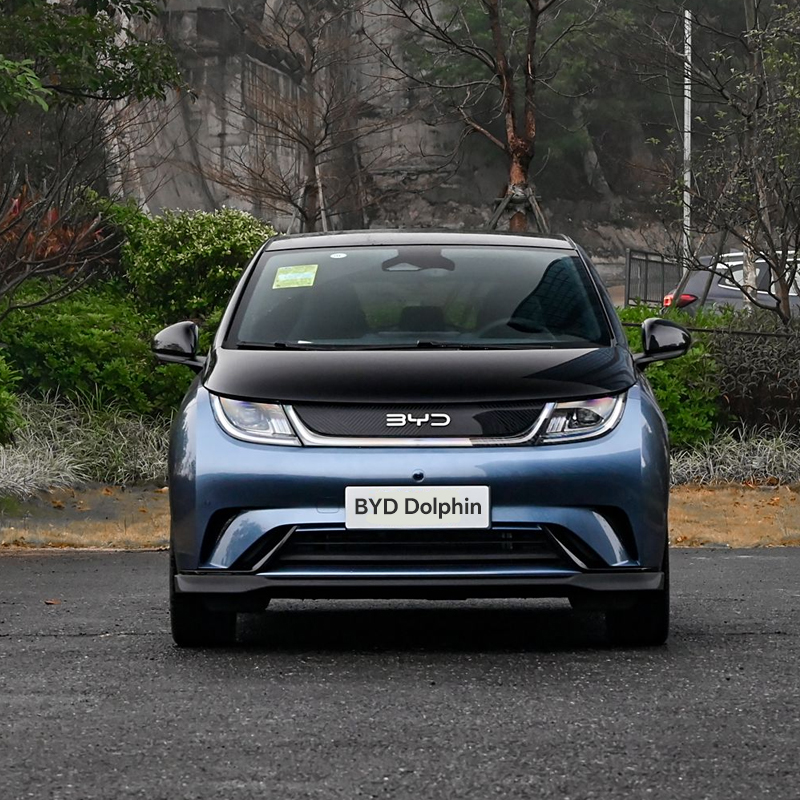 BYD Dolphin 2024 Honor 401km Knight - Image 4