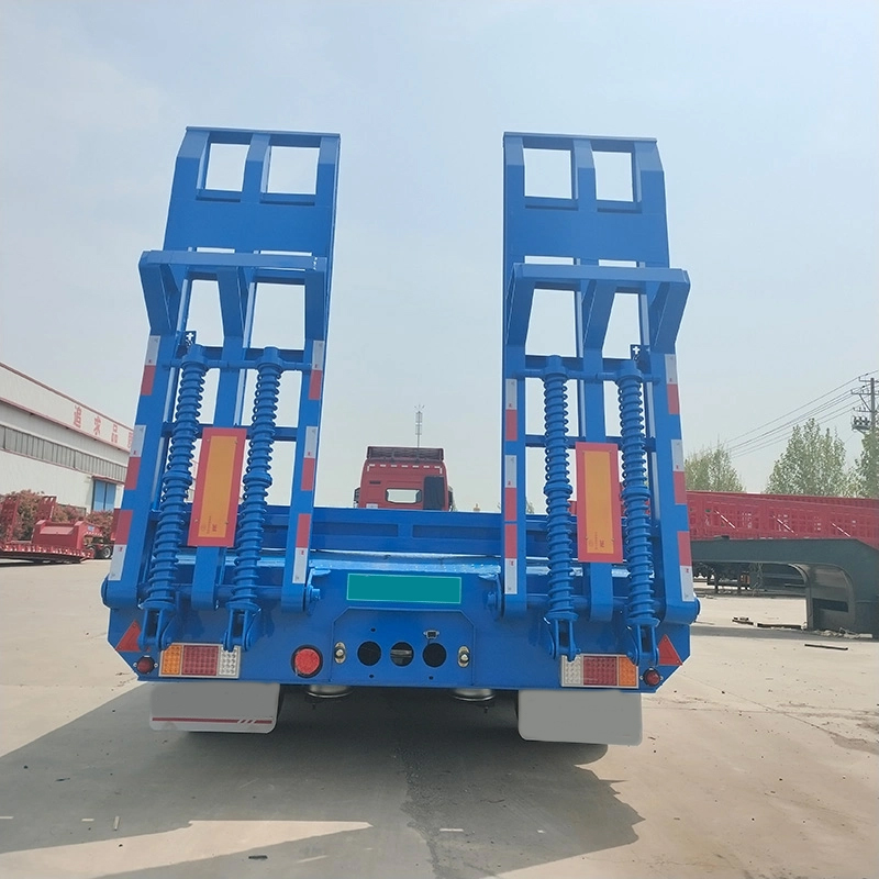 Central Asian Region Type Lowbed Trailer - Image 6