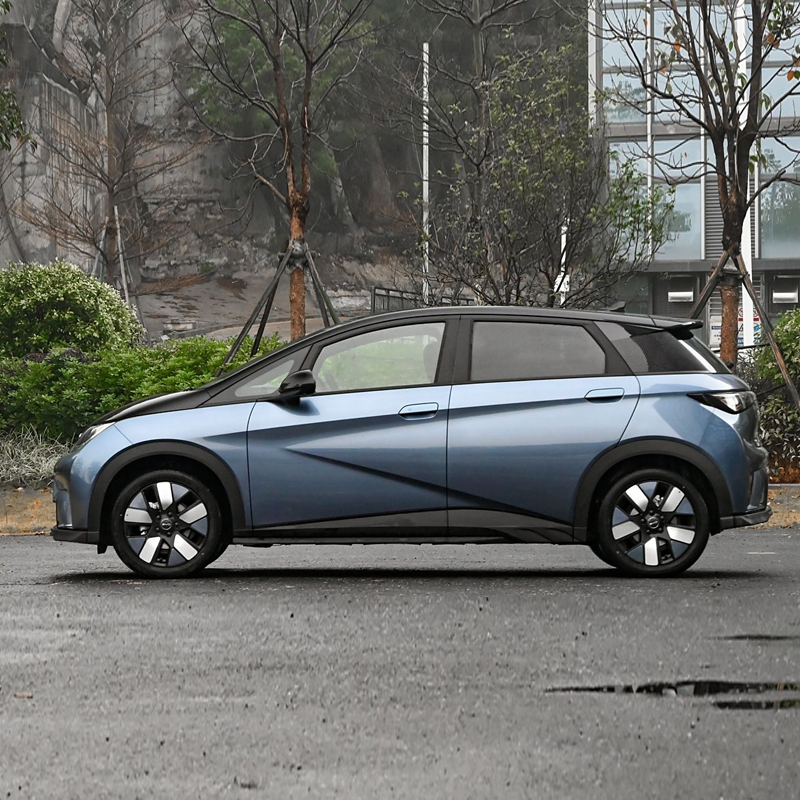 BYD Dolphin 2024 Honor 401km Knight - Image 6