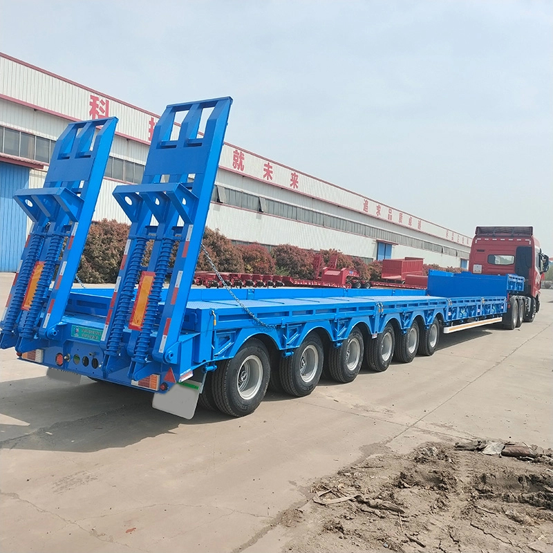 Central Asian Region Type Lowbed Trailer - Image 7