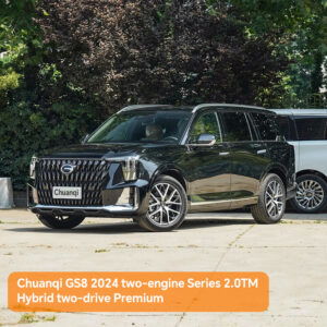 Chuanqi GS8 2024 two-engine Series 2.0TM Hybrid two-drive Premium