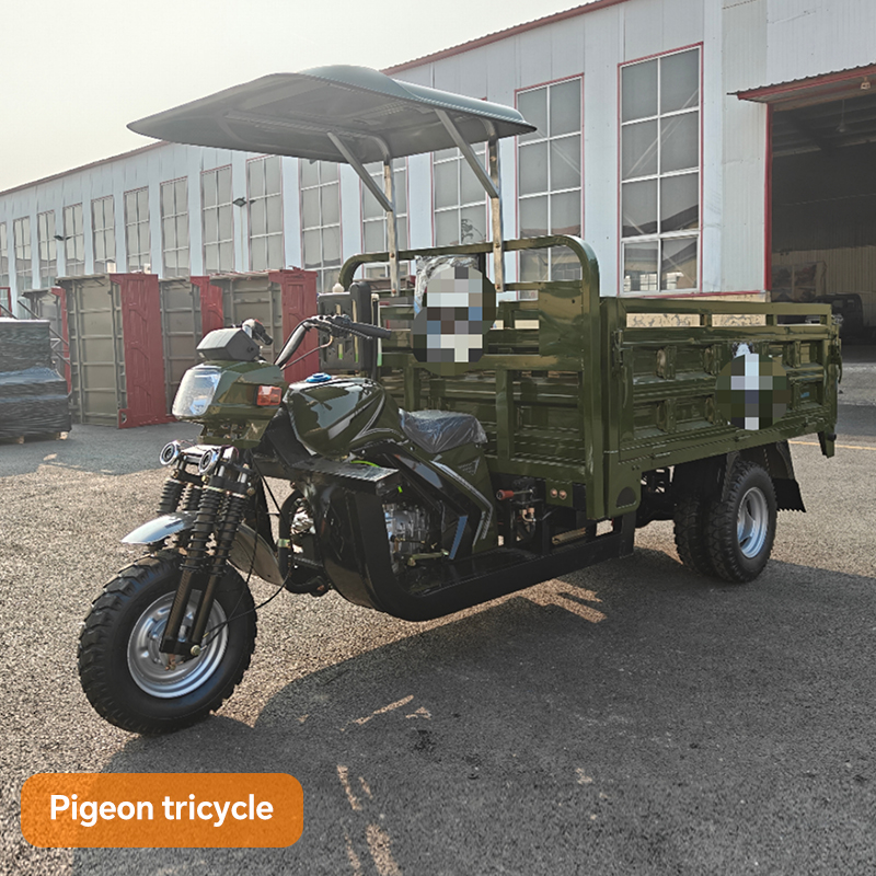 Pigeon tricycle