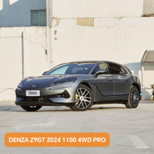 DENZA Z9GT 2024 1100 4WD PRO