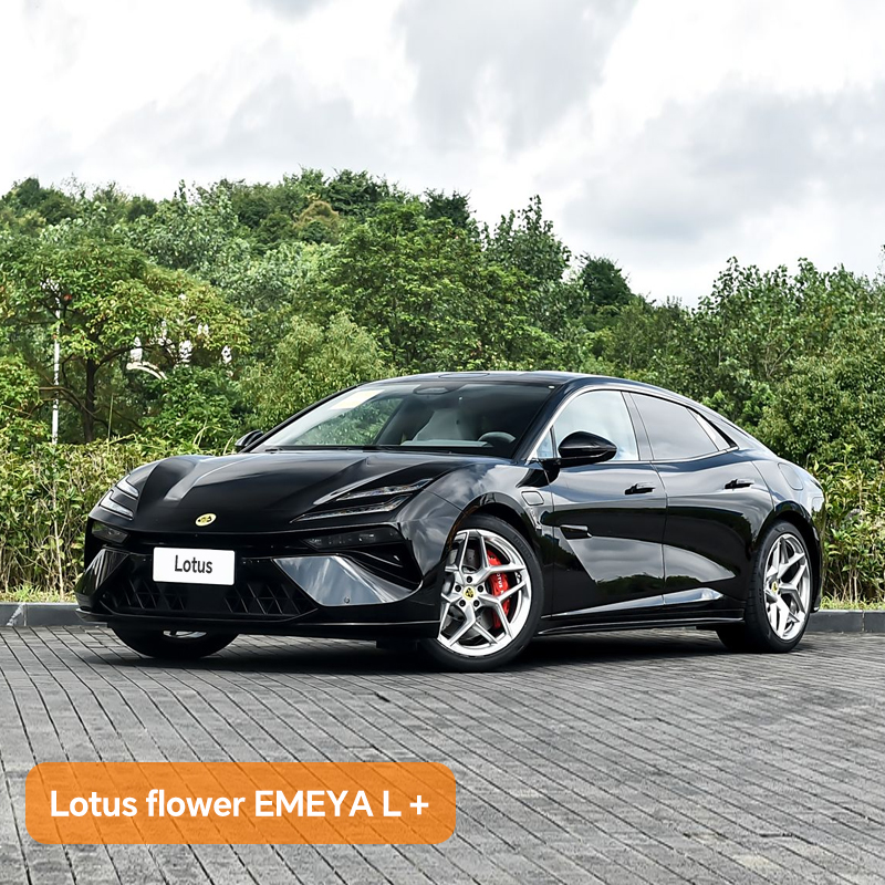 Lotus flower EMEYA L+