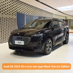 Audi Q5 2023 40 e-tron star type Black Warrior Edition