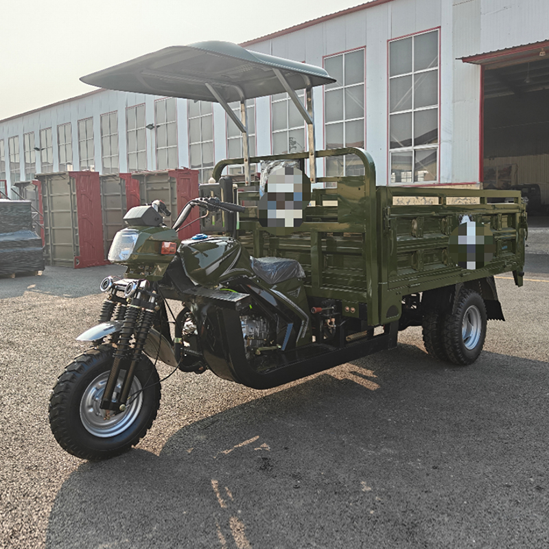 Pigeon tricycle - Image 3