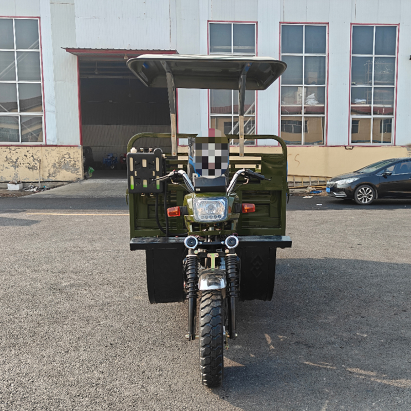 Pigeon tricycle - Image 4