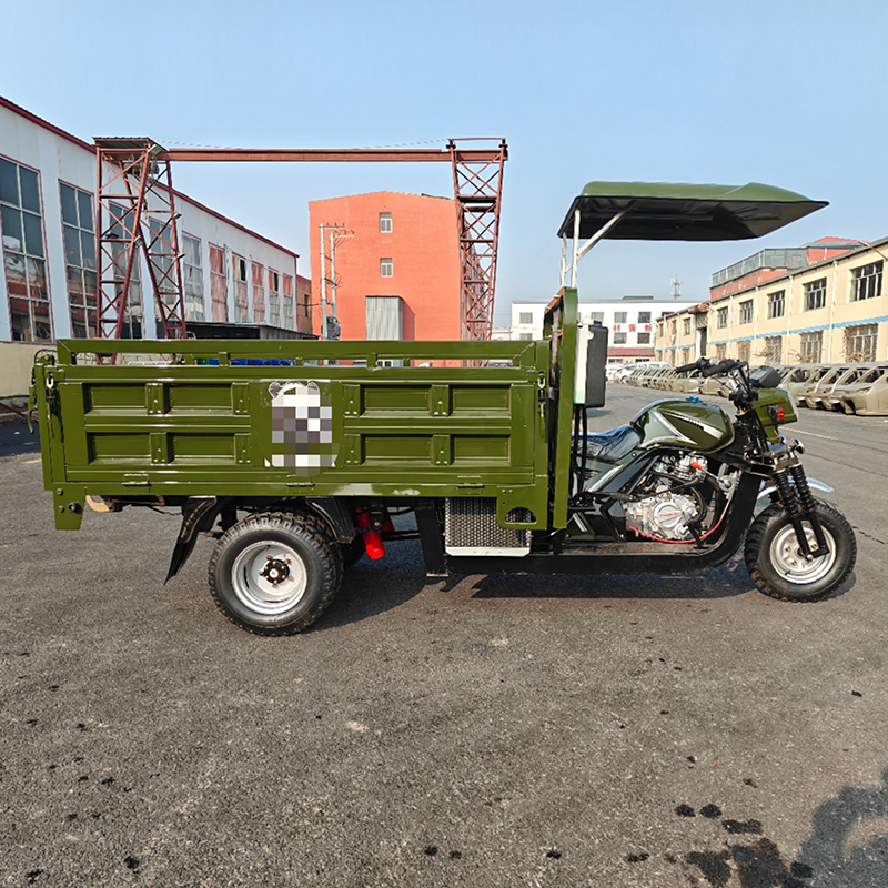 Pigeon tricycle - Image 6