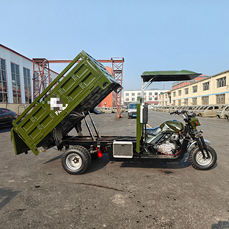 Pigeon tricycle - Image 7