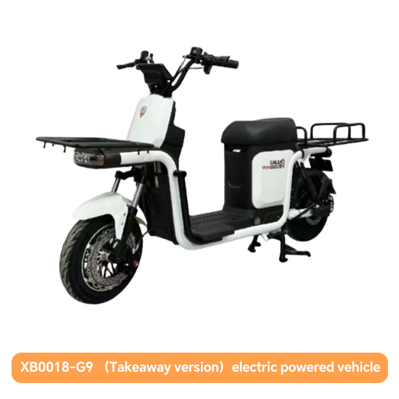 XB0018-G9 (Takeaway version) electric powered vehicle