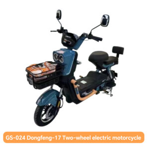 GS-024   Dongfeng-17 Two-wheel electric motorcycle