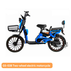 GS-038 Golden Jasmine 20 inchs Two-wheel electric motorcycle