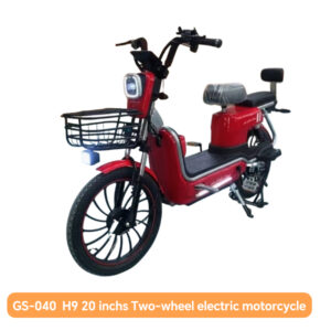 GS-040  H9 20 inchs Two-wheel electric motorcycle